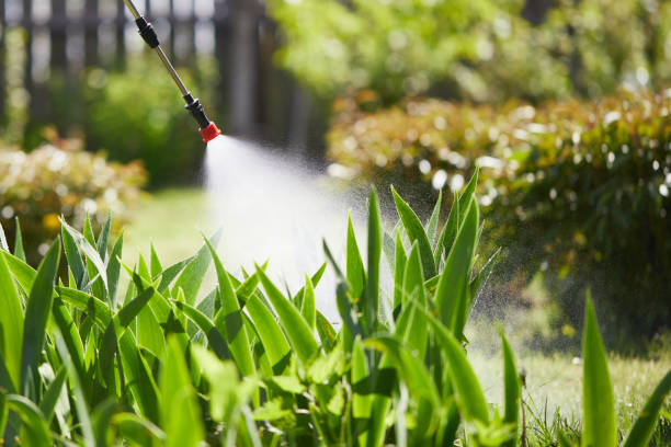 24/7 Emergency Wasp Removal experts in South Roxana, IL